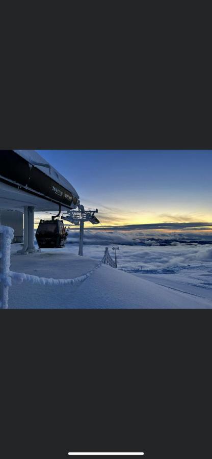 Uphill Residence Sinaia Bagian luar foto
