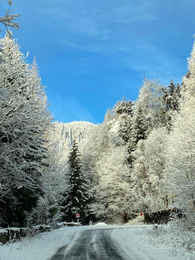 Uphill Residence Sinaia Bagian luar foto