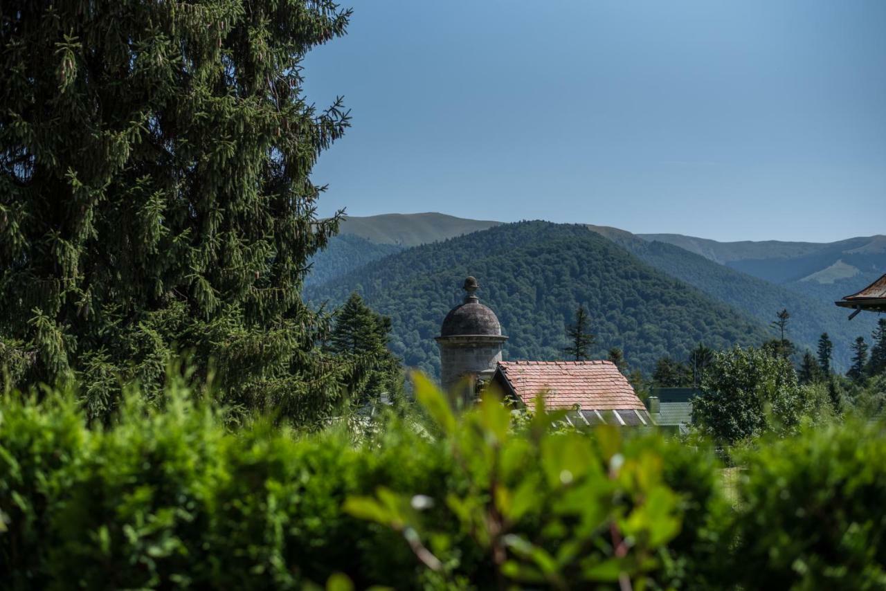 Uphill Residence Sinaia Bagian luar foto